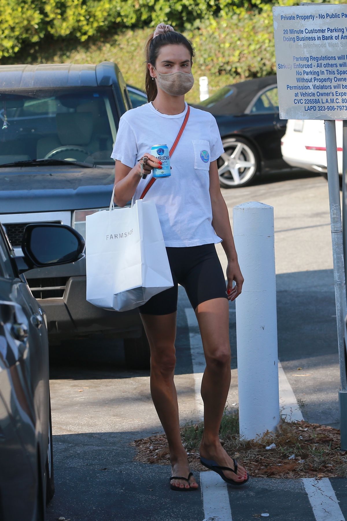 Alessandra Ambrosio Picks Up Lunch at Brentwood Country Mart 2020/09/25