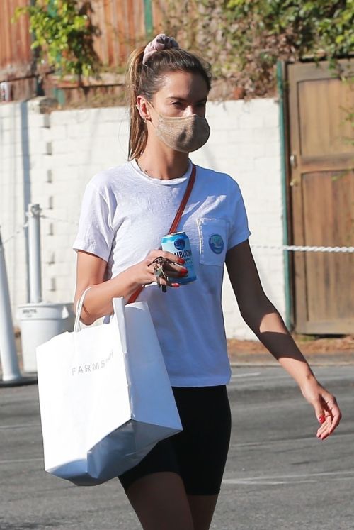 Alessandra Ambrosio Picks Up Lunch at Brentwood Country Mart 2020/09/25 5