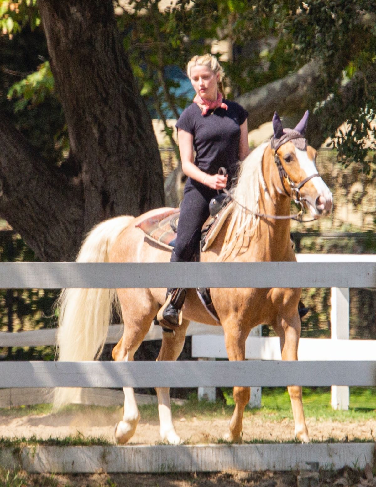 Amber Heard at Horseback Riding in Los Angeles 2020/09/23 9