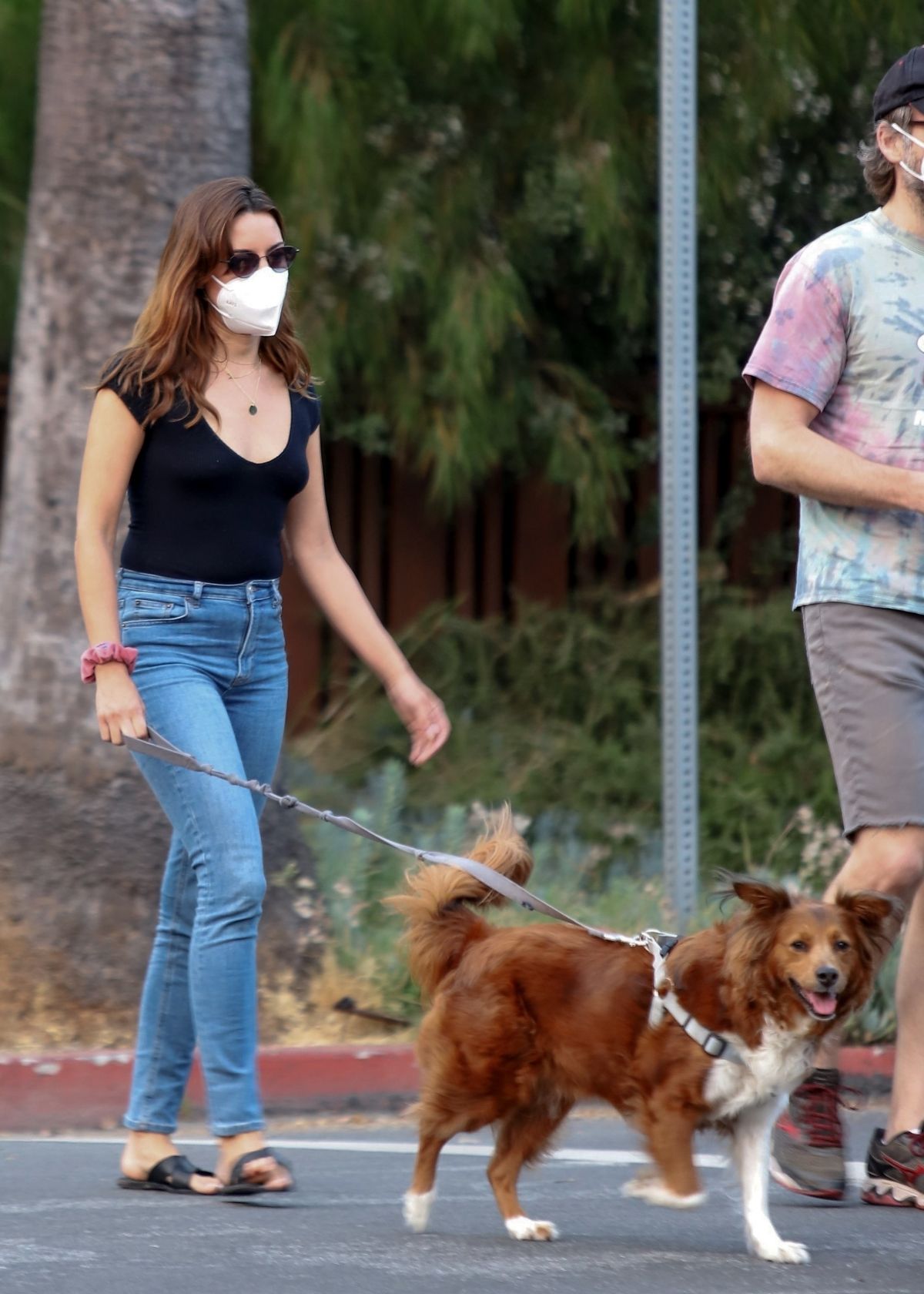 Aubrey Plaza and Jeff Baena Out with Her Dogs in Los Angeles 2020/07/19