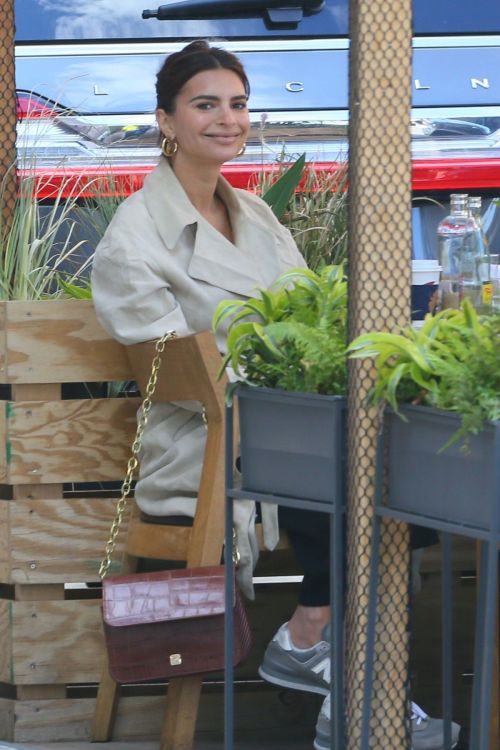 Emily Ratajkowski and Sebastian Bear-McClard Out for Lunch in New York 2020/09/20 4