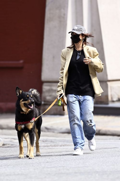 Emily Ratajkowski Out with Her Dog in New York 2020/09/18 7