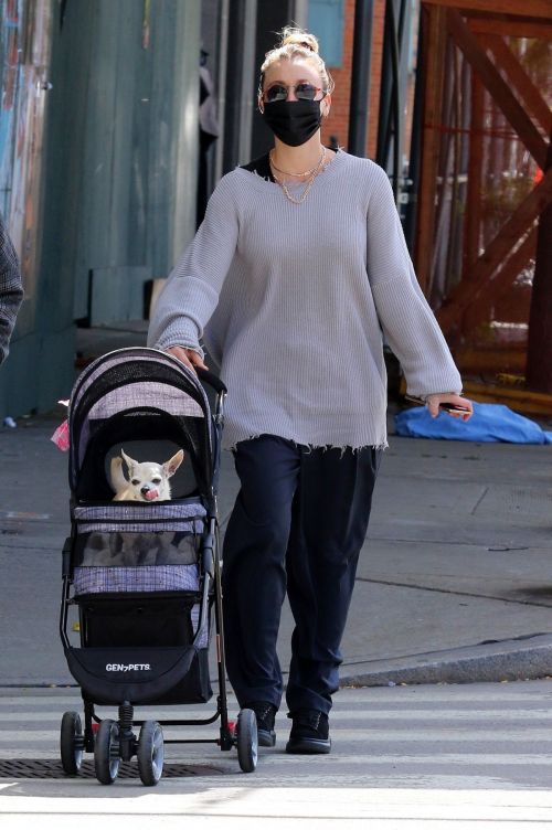 Kaley Cuoco Out with Her Dog at Manhattan