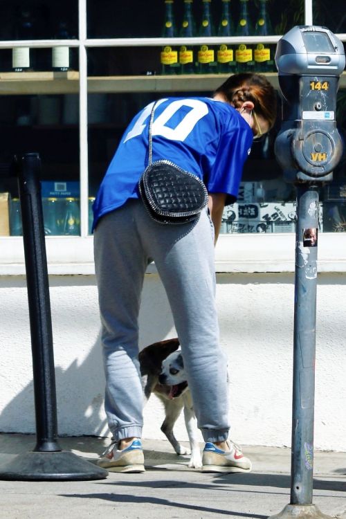 Kate Mara Out with Her Dog in Los Angeles 2020/09/20 10