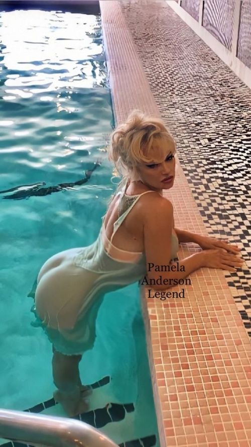 Pamela Anderson at a Photoshoot, 2020 Issue 3