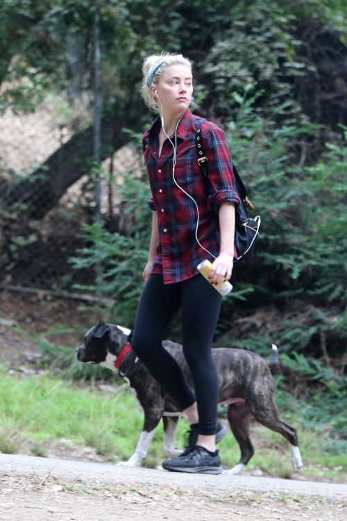 Amber Heard walks with her dog out in Los Feliz 2020/10/25