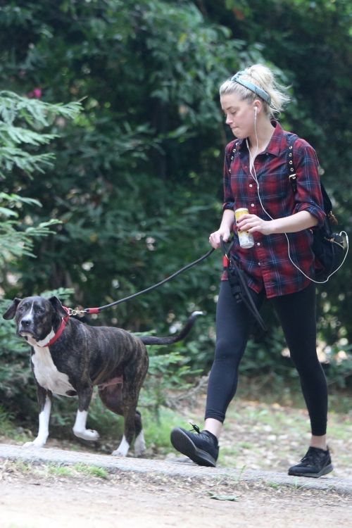Amber Heard walks with her dog out in Los Feliz 2020/10/25 2