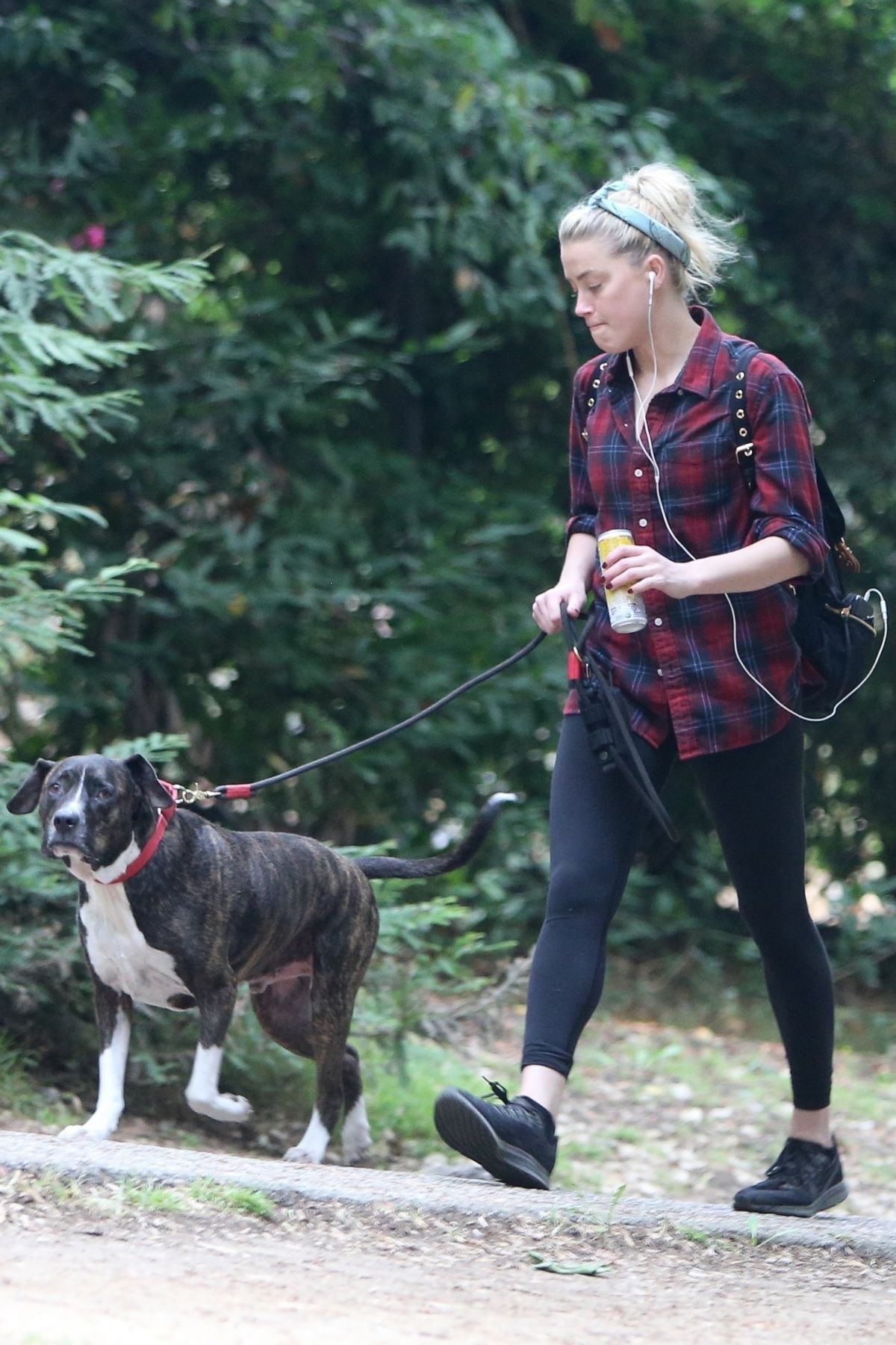 Amber Heard walks with her dog out in Los Feliz 2020/10/25 1