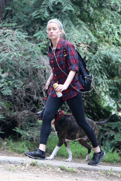 Amber Heard walks with her dog out in Los Feliz 2020/10/25 4