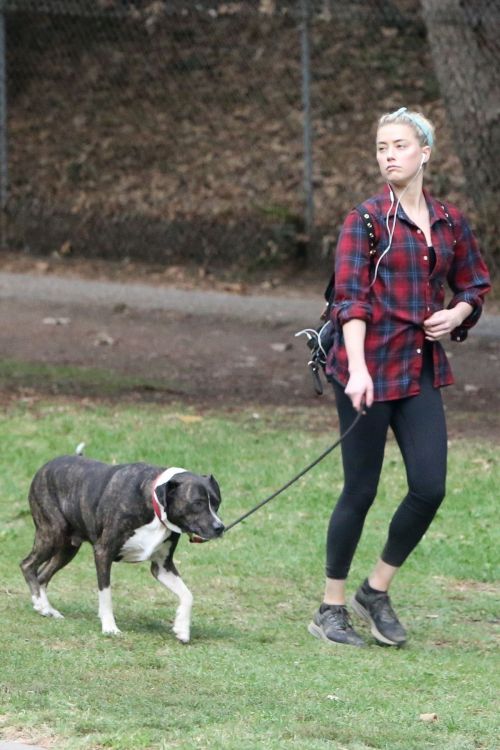 Amber Heard walks with her dog out in Los Feliz 2020/10/25 7