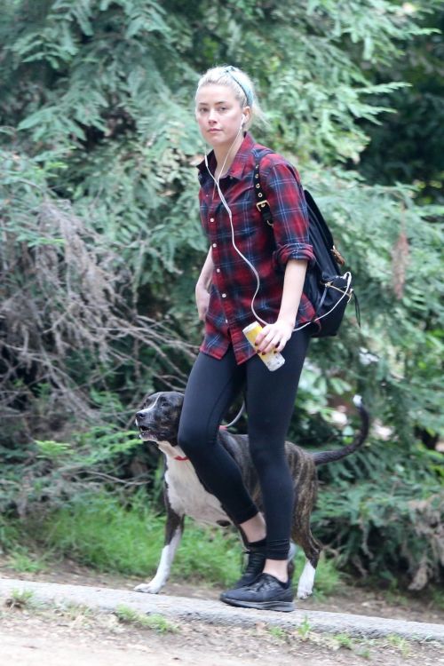 Amber Heard walks with her dog out in Los Feliz 2020/10/25 8