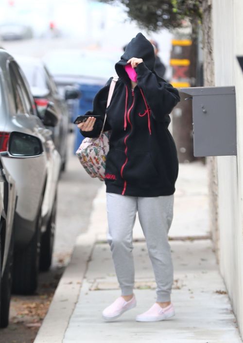 Ariel Winter and Luke Benward Out in Malibu 2020/10/22 9