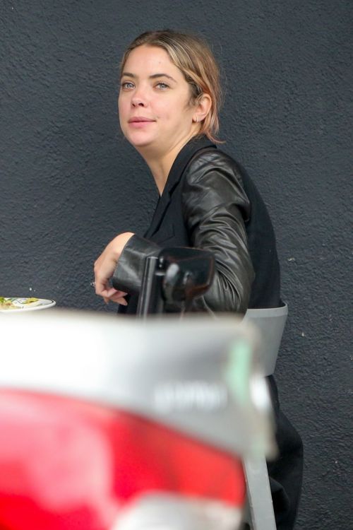 Ashley Benson Out for Lunch in Los Feliz 2020/10/24 10