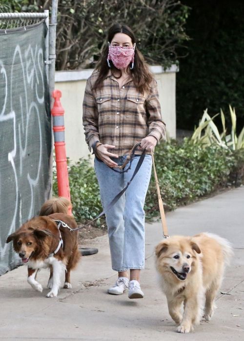 Aubrey Plaza and Jeff Baena Out with Their Dogs in Los Feliz 2020/10/24 8