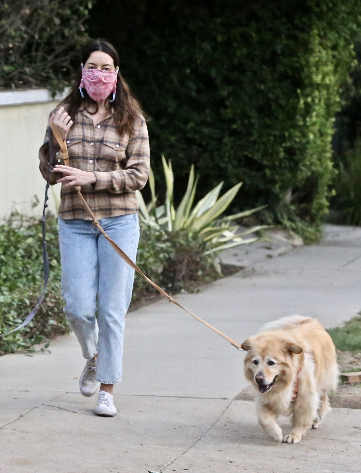 Aubrey Plaza and Jeff Baena Out with Their Dogs in Los Feliz 2020/10/24 7