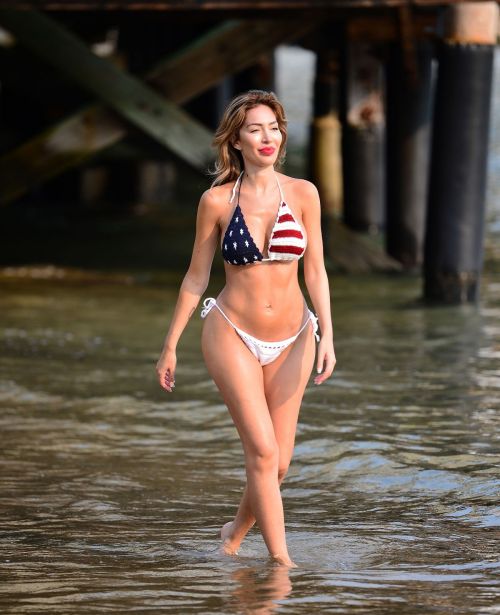 Farrah Abraham in Bikini at Venice Beach 2020/09/24 4