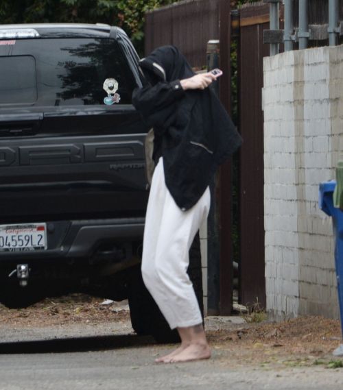 Ireland Baldwin Out on Her Birthday in Los Angeles 2020/10/23 1