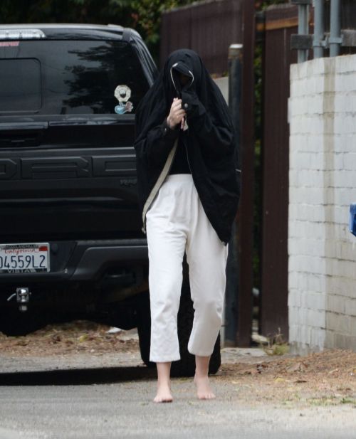 Ireland Baldwin Out on Her Birthday in Los Angeles 2020/10/23 2