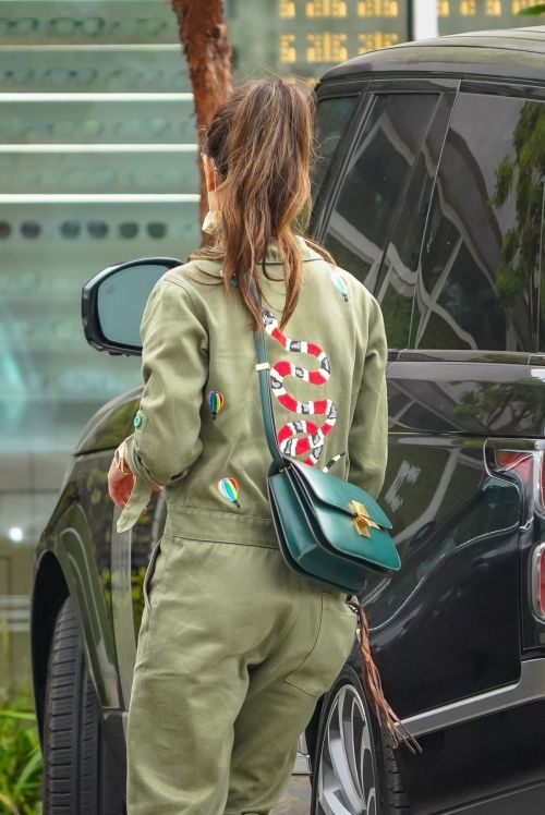 Jordana Brewster Out with Her Dog in Malibu 2020/10/25 1