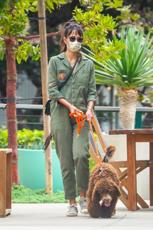 Jordana Brewster Out with Her Dog in Malibu 2020/10/25 12