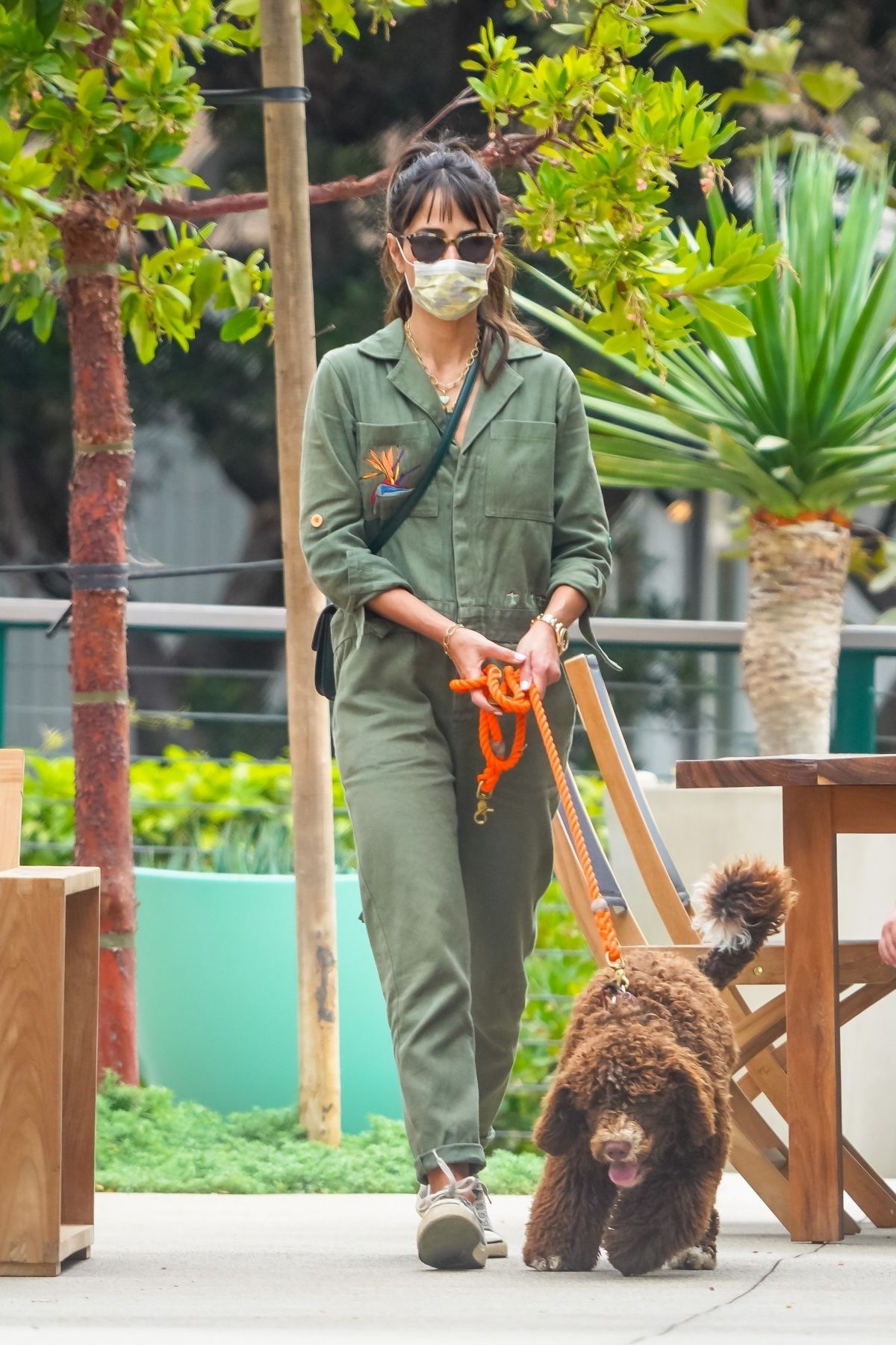 Jordana Brewster Out with Her Dog in Malibu 2020/10/25 12