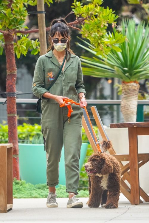 Jordana Brewster Out with Her Dog in Malibu 2020/10/25 5