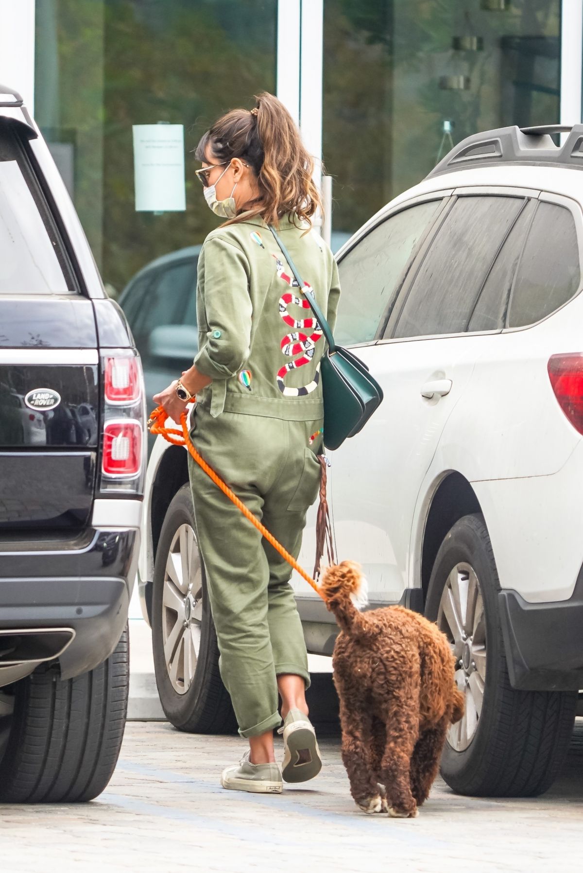 Jordana Brewster Out with Her Dog in Malibu 2020/10/25 5