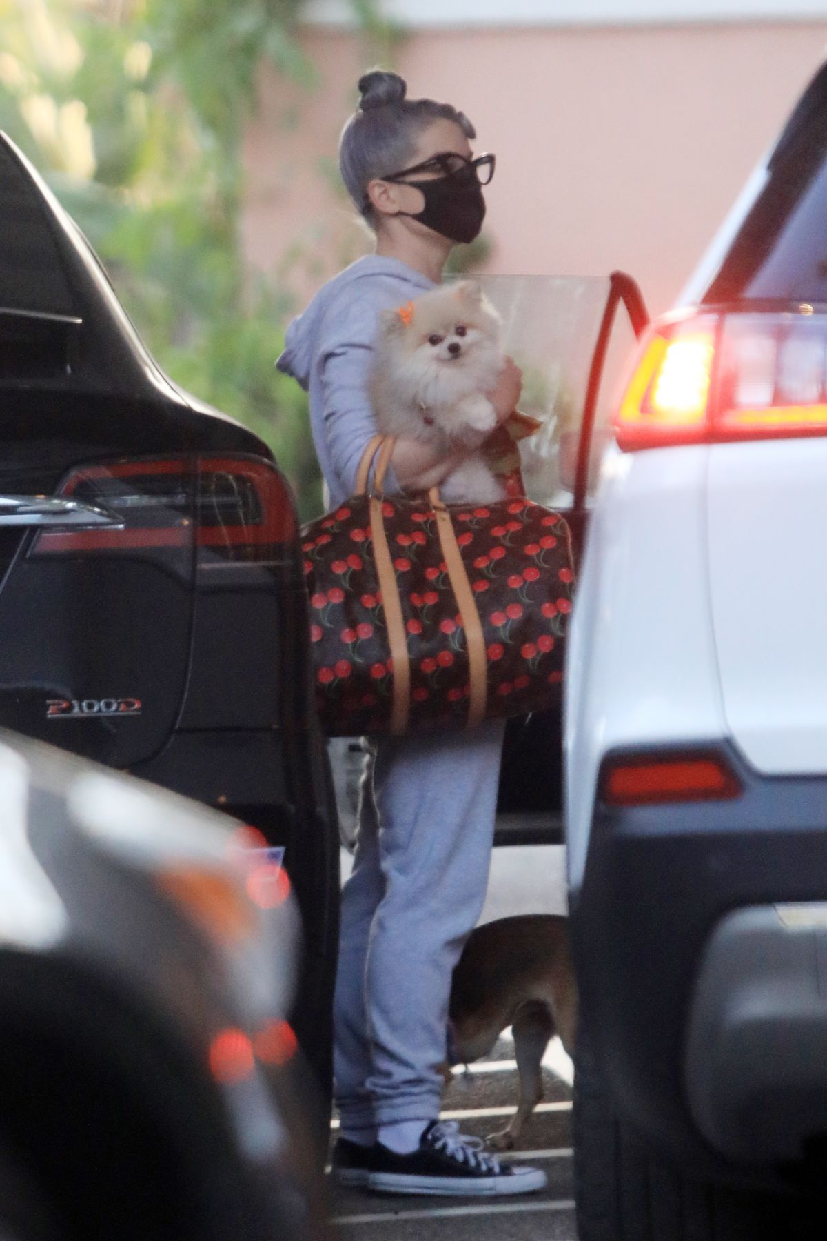Kelly Osbourne Out with Her Dogs in Beverly Hills 2020/10/26 1