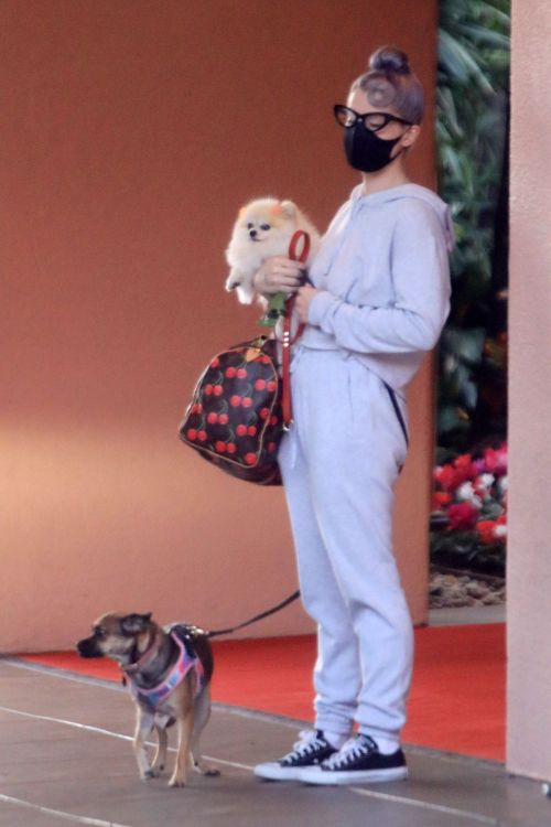 Kelly Osbourne Out with Her Dogs in Beverly Hills 2020/10/26 3