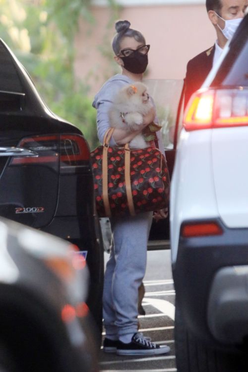 Kelly Osbourne Out with Her Dogs in Beverly Hills 2020/10/26 4