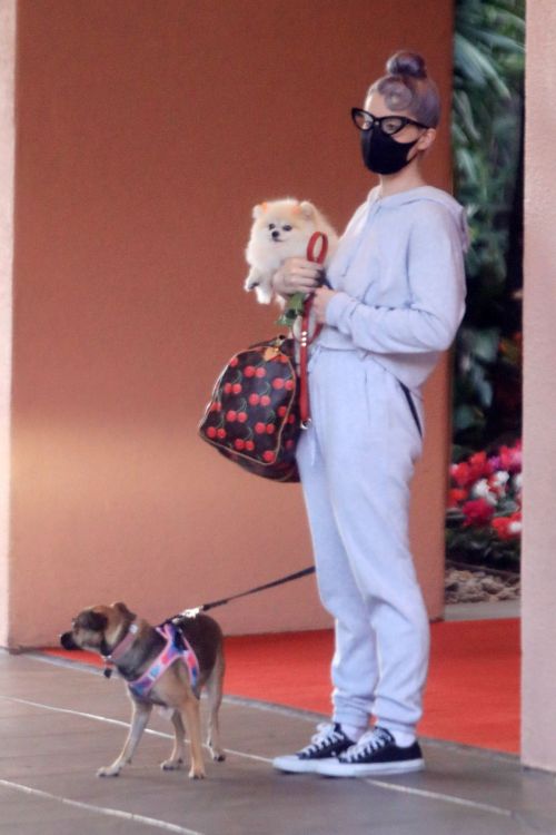 Kelly Osbourne Out with Her Dogs in Beverly Hills 2020/10/26 5