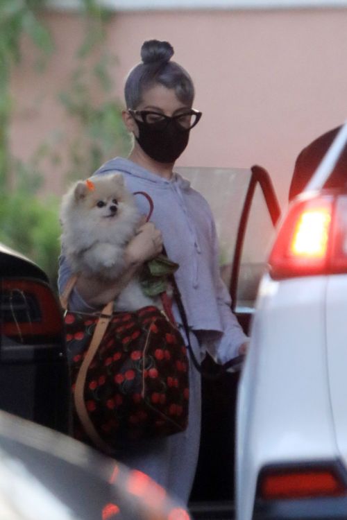 Kelly Osbourne Out with Her Dogs in Beverly Hills 2020/10/26