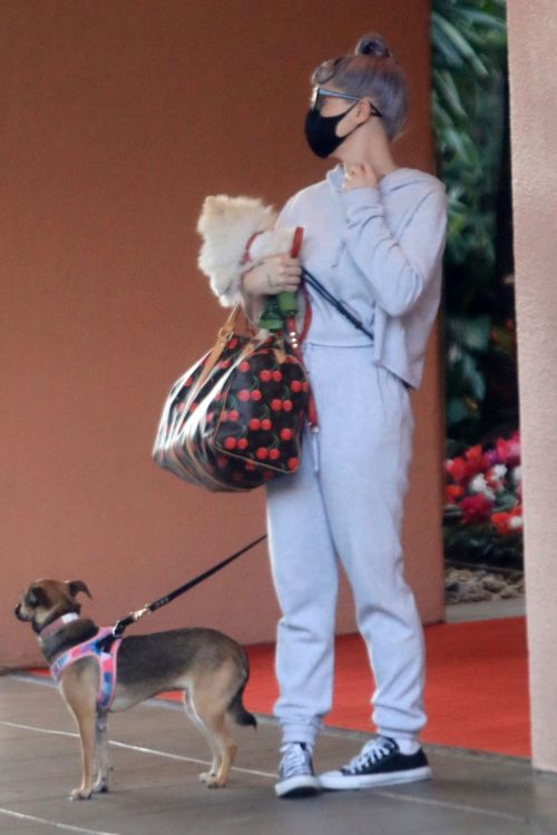 Kelly Osbourne Out with Her Dogs in Beverly Hills 2020/10/26 7