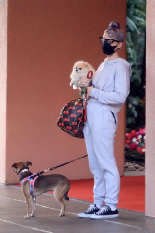 Kelly Osbourne Out with Her Dogs in Beverly Hills 2020/10/26 8
