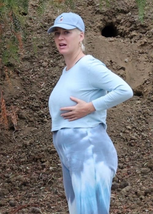 Pregnant Katy Perry Out With Her Dog on Her Birthday in Los Angeles 2020/10/25
