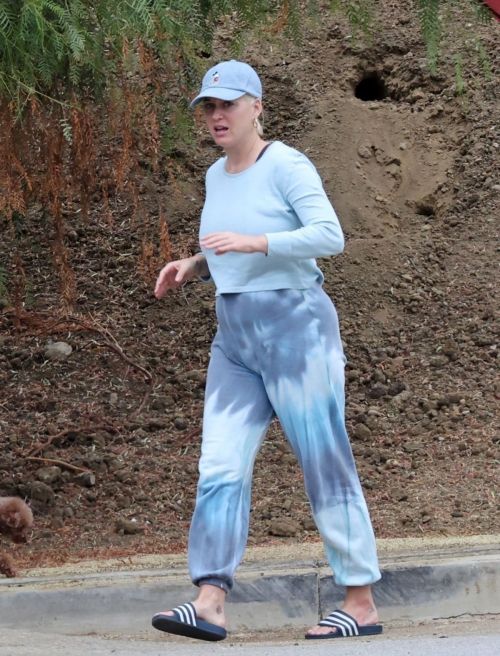 Pregnant Katy Perry Out With Her Dog on Her Birthday in Los Angeles 2020/10/25 2