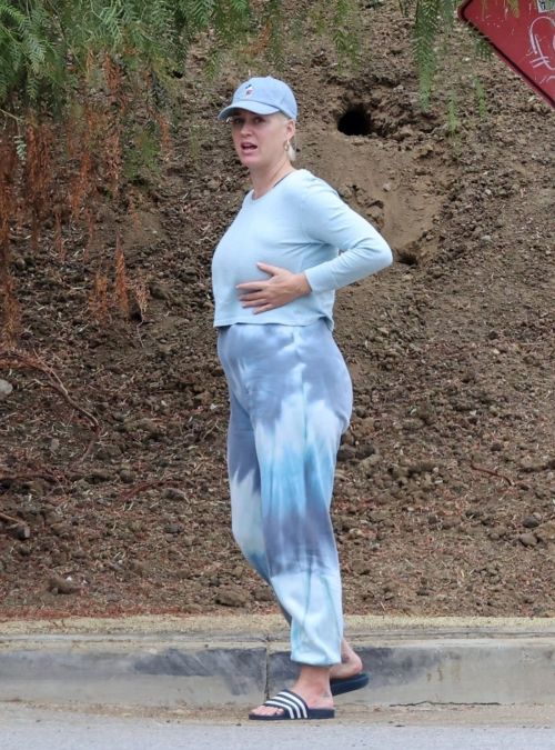 Pregnant Katy Perry Out With Her Dog on Her Birthday in Los Angeles 2020/10/25 3