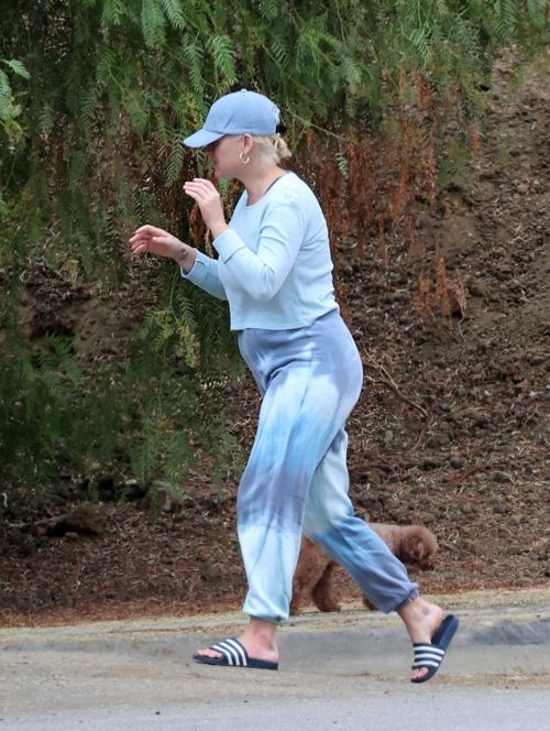Pregnant Katy Perry Out With Her Dog on Her Birthday in Los Angeles 2020/10/25 7