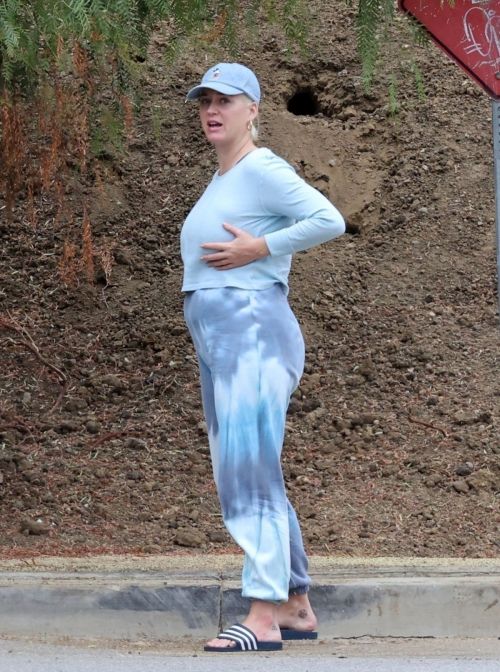 Pregnant Katy Perry Out With Her Dog on Her Birthday in Los Angeles 2020/10/25 8