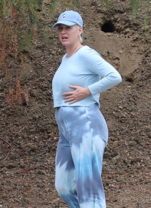 Pregnant Katy Perry Out With Her Dog on Her Birthday in Los Angeles 2020/10/25 9
