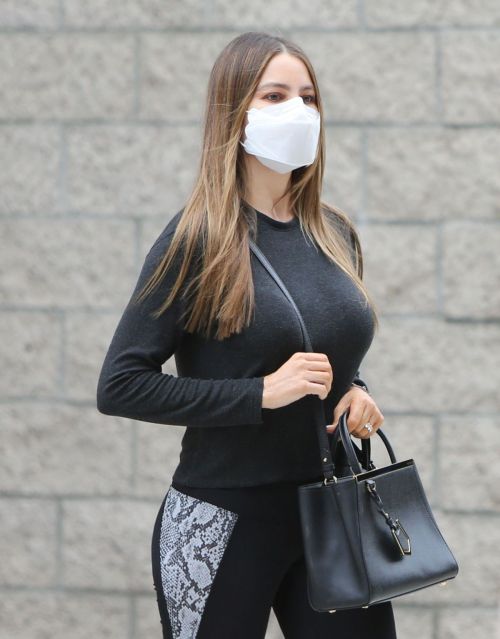 Sofia Vergara in Tights Out and About in Los Angeles 2020/10/22 1