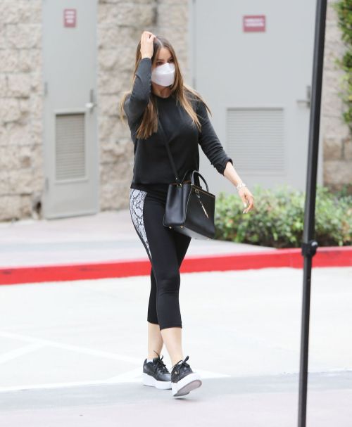 Sofia Vergara in Tights Out and About in Los Angeles 2020/10/22 7