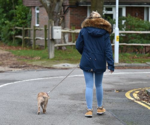 Amy Hart Out with Her Dog in West Sussex 2020/11/27 1