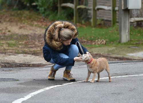 Amy Hart Out with Her Dog in West Sussex 2020/11/27 4