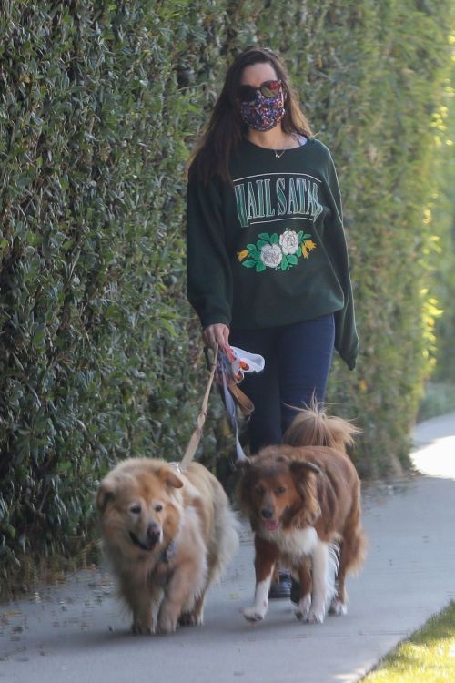 Aubrey Plaza Out with Her Dogs in Los Angeles 2020/11/21 1