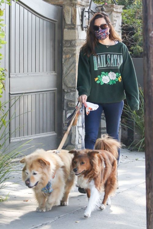Aubrey Plaza Out with Her Dogs in Los Angeles 2020/11/21 3
