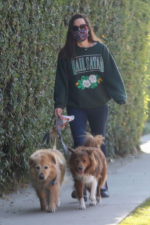 Aubrey Plaza Out with Her Dogs in Los Angeles 2020/11/21 4