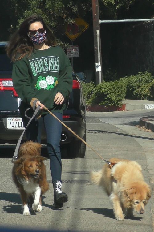 Aubrey Plaza Out with Her Dogs in Los Angeles 2020/11/21