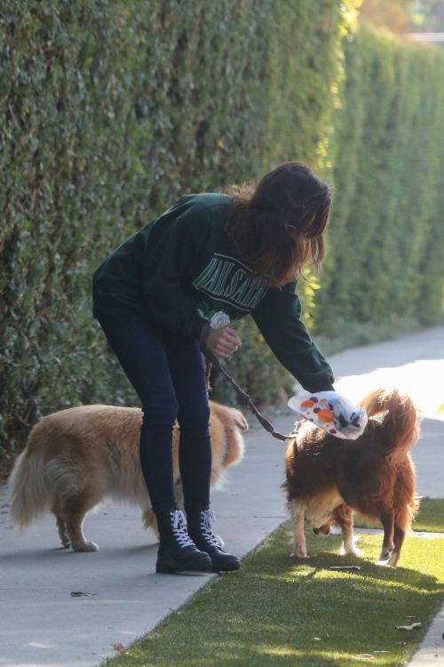 Aubrey Plaza Out with Her Dogs in Los Angeles 2020/11/21 8