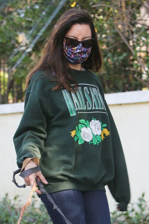 Aubrey Plaza Out with Her Dogs in Los Angeles 2020/11/21 9